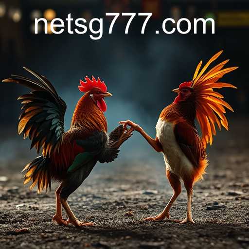 The World of Online Sabong and the Rising Popularity of SG777